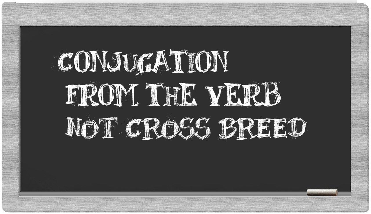 ¿not cross breed en sílabas?