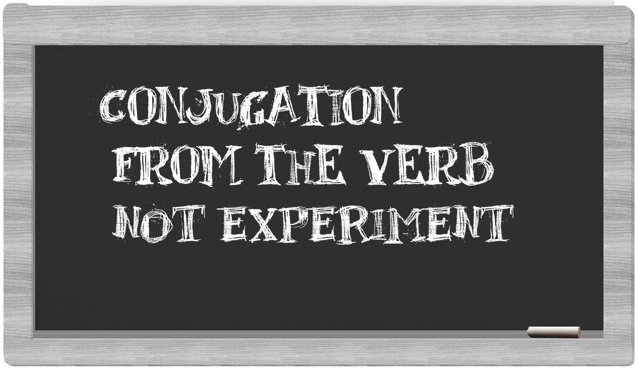 ¿not experiment en sílabas?